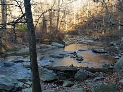 Rock Creek - wild and free.